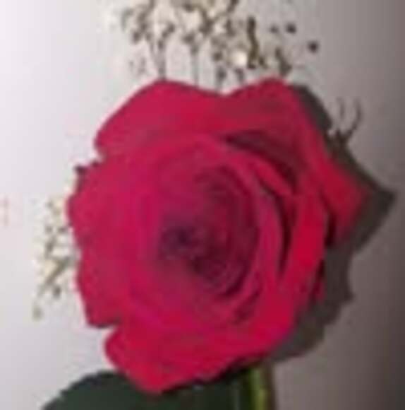 lindawatson349